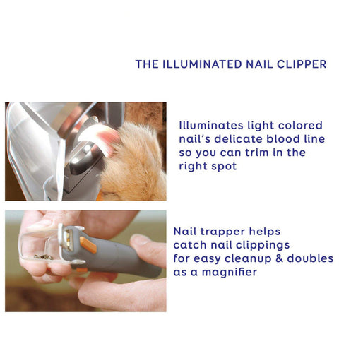 Image of Professional Illuminated Pet Nail Clipper